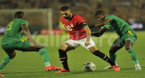  "هداف في كل مكان ونجم رهيب".. ليفربول والريان يُعلقان على تألق صلاح وتريزيجيه مع مصر